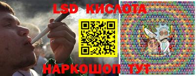 ГАЛЛЮЦИНОГЕННЫЕ ГРИБЫ Кингисепп