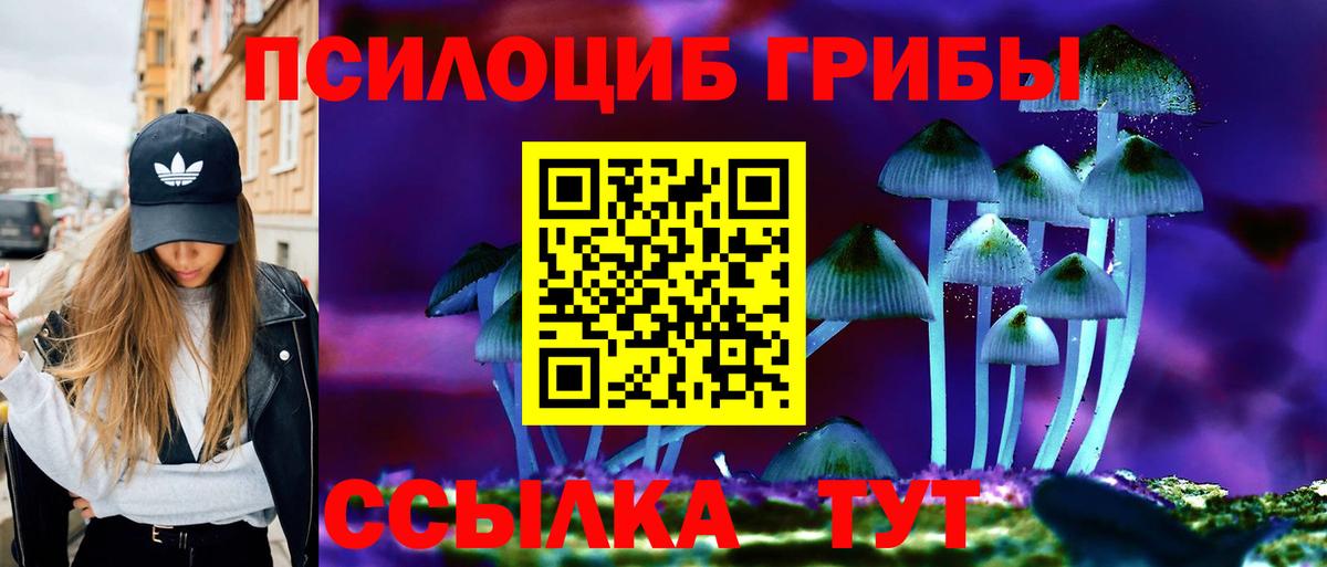 Энгельс  Галлюциногенные грибы Cubensis  Вход с VPN  Галлюциногенные грибы прущие грибы 