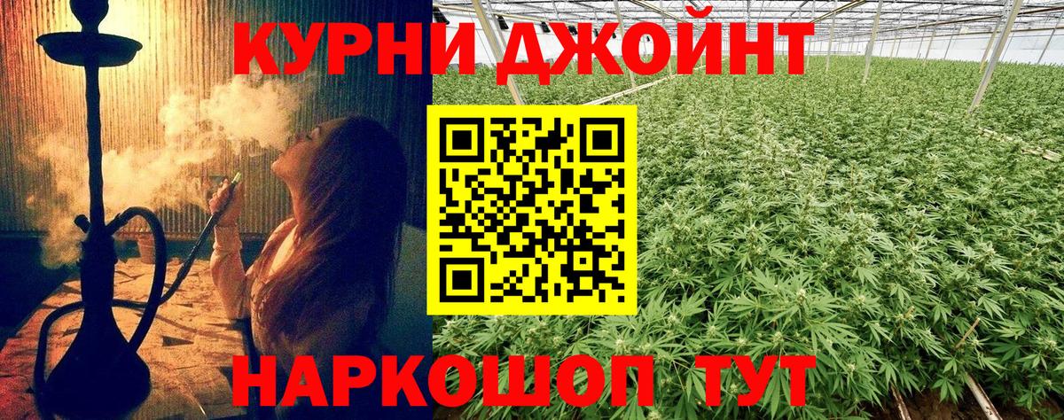Бошки Шишки SATIVA & INDICA  Конопля планчик  Энгельс  Вход с VPN 